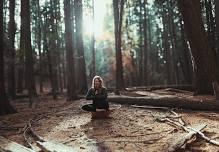 Yoga in the Cedars with Emily Aston