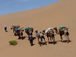 Huge collection, amazing choice, 100+ million high quality, affordable rf and rm images. Camel Caravan Badain Jaran Desert Hohhot Inner Mongolia Attractions Travel Photos Of Badain Jaran Desert Badain Jaran Desert Image Tours Badain Jaran Desert Pictures Easy Tour China
