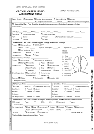 Nursing Assessment Cheat Sheet For Clinicals Critical Care