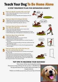 How To Train Dogs Pdf In 2020 Dog Training Puppy Training Easiest Dogs To Train