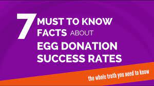 The Truth About Ivf With Donor Eggs Success Rates Youtube