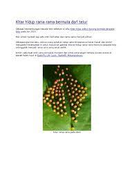 Tenali rama is an indian historical comedy drama based on the life of the legendary telugu & kannada poet tenali ramakrishna, one of the ashtadiggajas (or the eight honorable poets) at the court of vijayanagara emperor krishnadevaraya (c.e. Kitar Hidup Rama