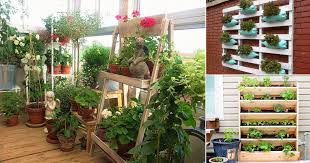 With these best balcony plants, including hibiscus, hydrangea, and more, your apartment balcony will look lovely and lush. 17 Creative Vertical Balcony Garden Ideas India Gardening