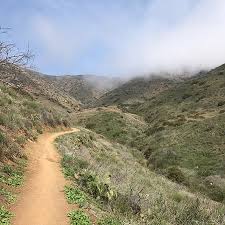 See 131 unbiased reviews of sesame inn, ranked #1 on tripadvisor among 85 restaurants in newbury park. Top 10 Things To Do In Newbury Park United States