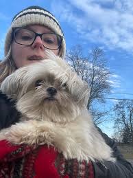 White dog with grey fur found