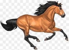 A dun may look like a buckskin at first glance, but with some added features colloquially known as dun factors (or primitive markings).() dun factor characteristics include the followinga dark dorsal stripe that runs from the horse's poll to the dock of its tail, which sometimes has barring that bleeds from the stripe toward the belly.; Mustang Buckskin Mustang Horse Horse Mammal Image File Formats Png Pngwing