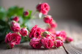 Desktop Wallpaper Hd 3d Full Screen 38 Images Best Roses Flower Gift Flower Wallpaper