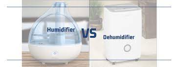 Humidifier Vs Dehumidifier Which Do You Need Let Sremovemold Com