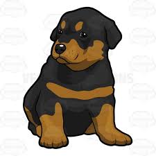 Cute Rottweiler Puppy Sitting On Floor Dog Animation Dog Art Dog Drawing