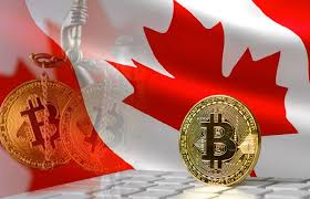 Canada a centralized approach to a decentralized currency. Canada Regulates Crypto Exchanges Companies As Money Service Providers