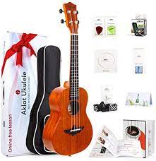 We are one of the reputed providers of an excellent range of pvc bathroom doors. Amazon Com Concert Ukulele 23 Inch Solid Mahogany Uke For Professional Player With Ukelele Beginner Kit Gig Bag Picks Tuner Strap String Cleaning Cloth Starter Manual Musical Instruments