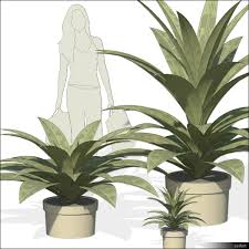We did not find results for: Revit Plant Library Revit Plant Library Free Download