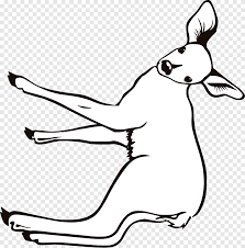 Images of fawn from the disney fairies franchise. Disney Fairies Coloring Book Iridessa Fawn Tinker Bell Fawn Horse White Png Pngegg