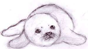 Baby Seal By Leniinha On Deviantart Kids and beginners alike can now draw a great looking narwhal whale. baby seal by leniinha on deviantart