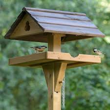 Table Stable Bird Tables Homemade Bird Houses Birds