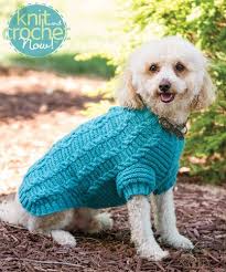 #18 amber leafy coat pattern by quinny zhang. Cable Dog Sweater Knit And Crochet Now Season 4 Episode 404 Dog Sweater Pattern Dog Sweater Dog Sweaters