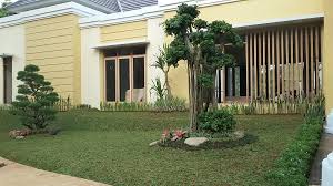 Rumput gajah atau dengan nama latin pennisetum purpurium merupakan jenis hijauan pakan ternak saat ini yang paling banyak dipilih karena berbagai macam varietasnya. Cara Menanam Rumput Gajah Mini Dengan Langkah Mudah