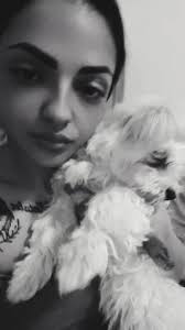 Bella Mea's Instagram, Twitter & Facebook