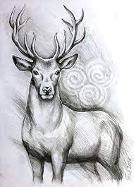 Pin On Art Drawings Sketches Creative