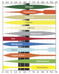 nutrient acidity ph