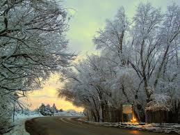 From 12,481 feet above the clouds to 800 feet. Luxury Cabins Nm New Mexico Cabins Rodeway Inn Silver City 3420 U S 180 Silver City Nm 88061 575 Taos New Mexico Winter New Mexico Winter Taos New Mexico