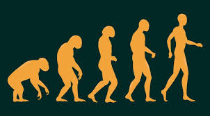 These were carried through the blood and deposited in the gametes. How Darwin S Theory Of Evolution Changed The World
