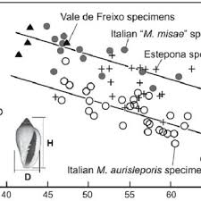 Significado de thiago entra y descubre datos sobre su origen, etimología, variantes de este nombre y su personalidad. Pdf Biogeography Of Iberian Atlantic Neogene Marginelliform Gastropods Marginellidae Cystiscidae Global Change And Transatlantic Colonization