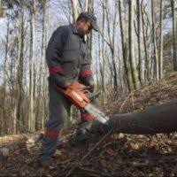 Descriere locuri de muncamontator fatade locul de munca: Padure Munca Top Locuri De Munca In Europa Si Romania