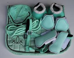 Mint Matching English Tack Set English Tack Sets Horse Gear Equestrian Outfits