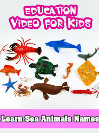 Watch Learn Sea Animals Names Education Video For Kids Prime Video