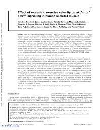 Júnior luiz antônio trotta miranda Pdf Effect Of Eccentric Exercise Velocity On Akt Mtor P70s6k Signaling In Human Skeletal Muscle