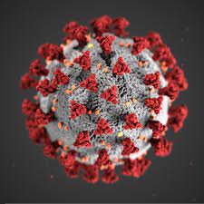 Eid Journal Created A Spotlight Topic Page To Make It Easier To Locate Articles About Covid 19 As Well As Other Coronavirus Diseases In Both Humans Animals