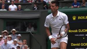 Ulož.to je v čechách a na slovensku jedničkou pro svobodné sdílení souborů. Download Novak Djokovic Memes Png Gif Base