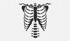 5 out of 5 stars. T Shirt Rib Cage Roblox Hoodie T Shirt Angle Halloween Costume Costume Png Pngwing