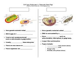 This Is A Fill In The Blank Notes Page That Highlights The Similarities And Differences Between Prokaryot Prokaryotes Prokaryotes Vs Eukaryotes Eukaryotic Cell