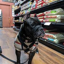 Find addresses, phone numbers, opening hours, reviews, maps and other useful information about the company in nj state. Pet Valu Pet Store In Bayonne