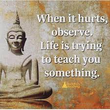 157 zen quotes on life. Pin On Self Challenges