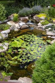 Small Plants For Small Ponds Ponds For Small Gardens Plants For Small Gardens Natural Pond