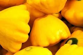 This quick and easy zucchini gratin with yellow squash is a luscious creamy cheesy medley of zucchini it is quick and easy to prepare. Yellow Squash