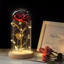 Overstepping the castle's generosity, the father must trade une vie pour une rose, a life for a rose. Rose Sous Cloche Inspiree De La Belle Et La Bete Kokooners Com