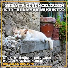 Negatif Dusuncelerden Kurtulmak Icin 7 Oneri Psikon Psikolog Konya Dusunceler Terapi Psikoloji