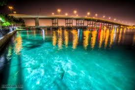 Snorkeling Great At High Tide Review Of Blue Heron Bridge