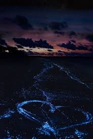 Bioluminescent Beach Puerto Rico 5 Surprising Facts About The Maldives This Beach Has Bioluminescence Sea Of Stars Places To Visit Bioluminescent Bay