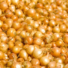 Maybe you would like to learn more about one of these? Should You Buy Onion Seeds Or Sets Osc Seeds