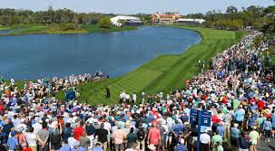 The dye's valley course at tpc sawgrass has played host too many different events such as the nfl golf classic, vantage ace shootout and the champions tour championship. Nine Things To Know About Tpc Sawgrass
