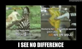 Don't forget to watch other series updates. Ep 21 Tiere Animais Gif On Gifer By Sham