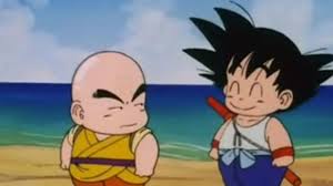 Dragon ball is a japanese anime television series produced by toei animation. What Two Dragon Ball Z Characters Are You A Combination Of Howstuffworks