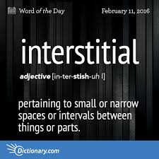 Dictionary Com S Word Of The Day Interstitial Pertaining To Situated In Or Forming Small Or Narrow Spaces Or Intervals Words Unusual Words Uncommon Words