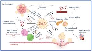 Image result for Platelet Dysfunction