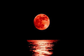 Saat puncak gerhana bulan total terjadi, hampir seluruh wilayah indonesia dapat menyaksikannya. Fakta Gerhana Bulan Total Super Blood Moon 26 Mei 2021